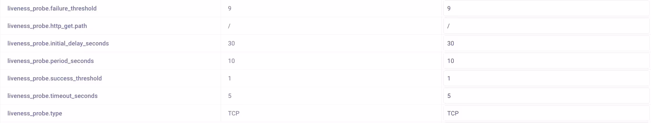 Liveness Probe in Advanced Settings 