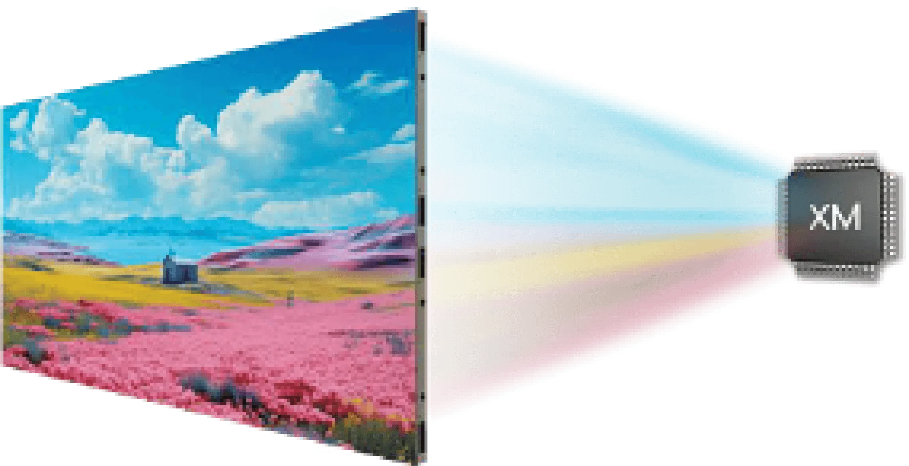 LED wall displaying a field of pink flowers beside a driver IC diagram illustrating color processing depth