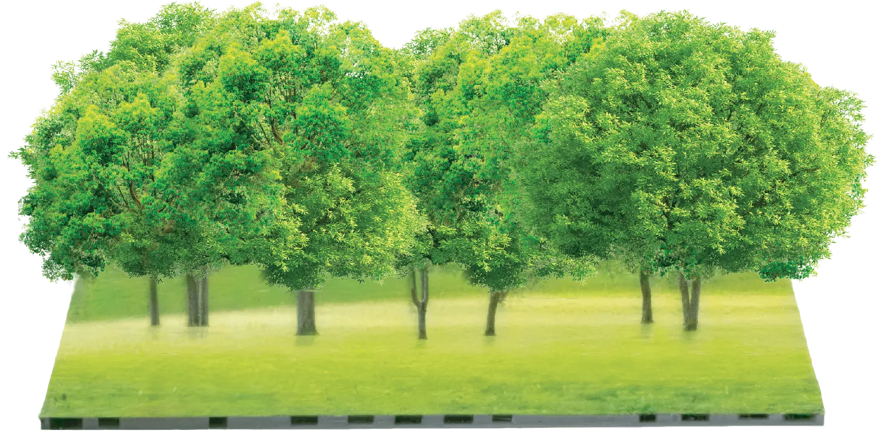 Row of green trees rendered on a full flip-chip common-cathode COB panel