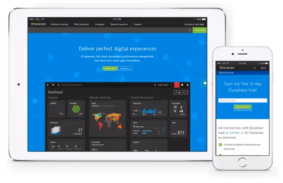 dyna - 03 - landing-page-testing