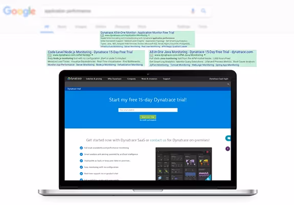 dyna - 01 - paid-search