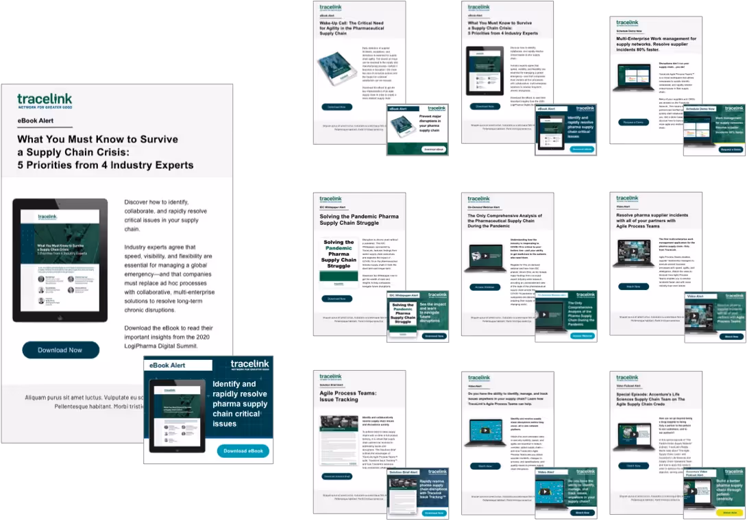 Tracelink 6-Nurture-emails