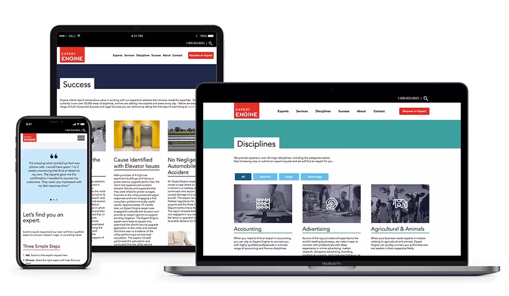 Expert - 3 Pages and Features
