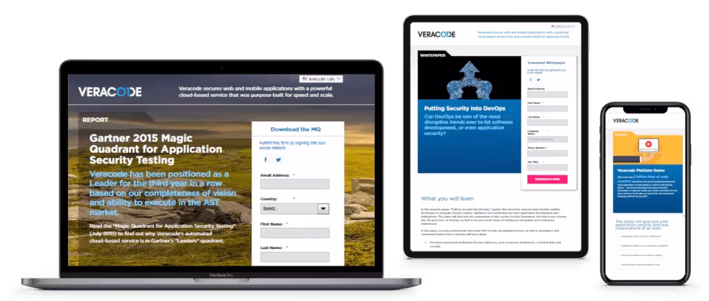 Veracode 05 Landing Page Design and Development