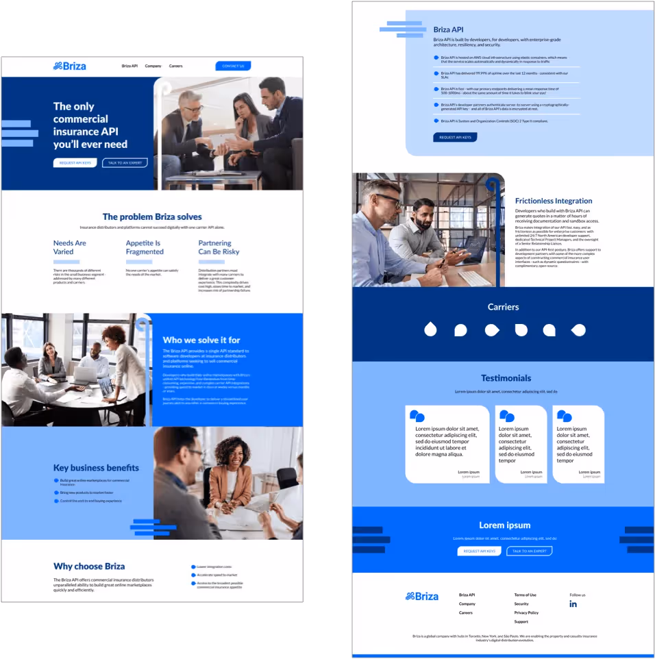 Briza-4 - Website Design