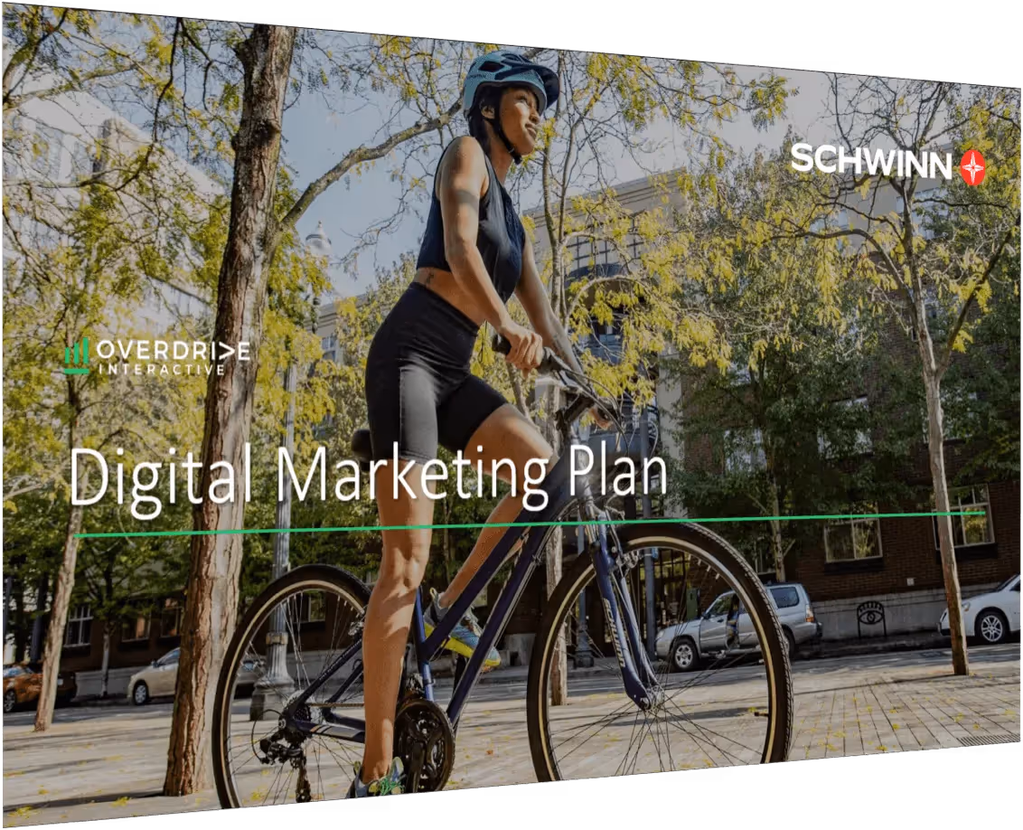 Schwinn-1 - Marketing Plan Development