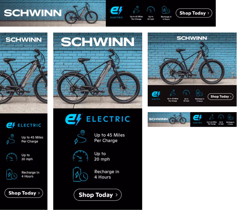 Schwinn-6 - Display Ad Creatives