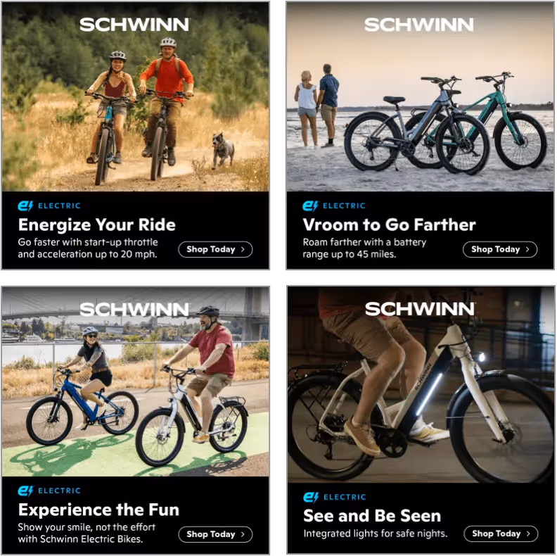 Schwinn-7 - Social Ad Creatives