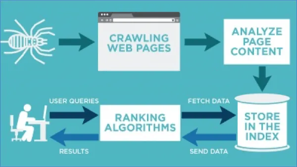 Infographic image of website indexing process.