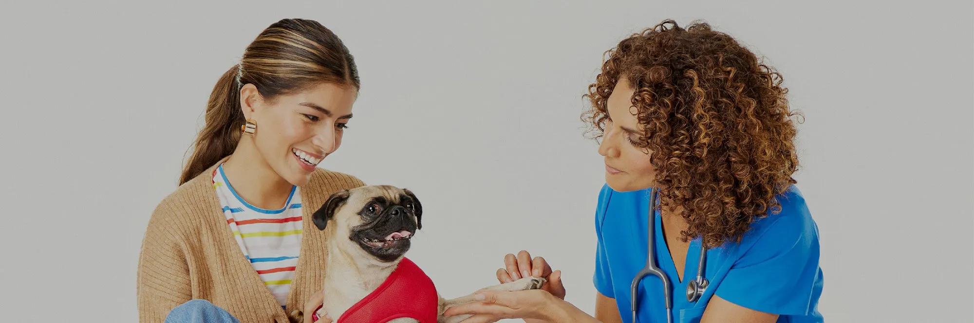 PetSmart Paid Search Management