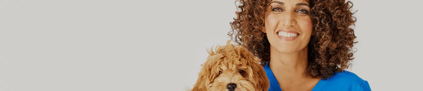 PetSmart Paid Social Campaign