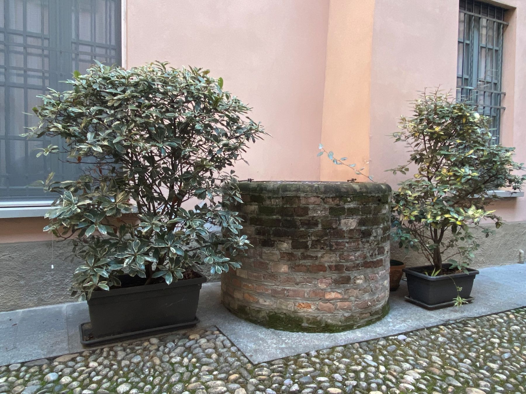 Duplex MT gallery image