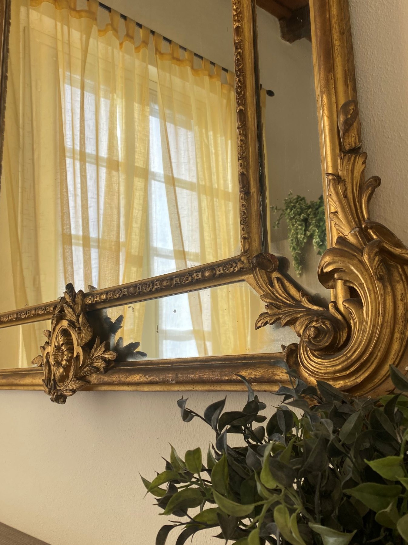 Duplex MT gallery image