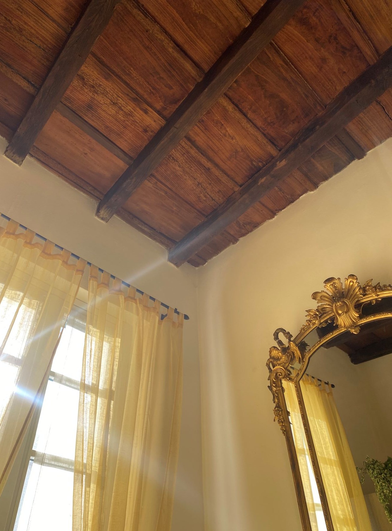 Duplex MT gallery image