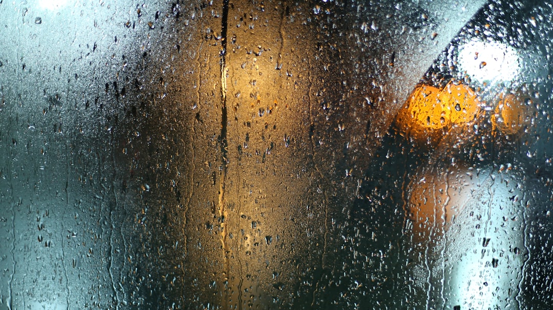 Rain drops on a window