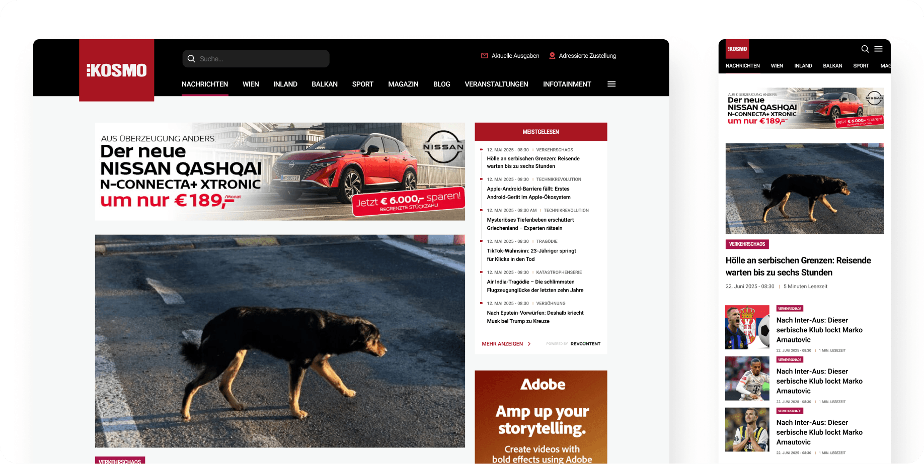 KOSMO: Von komplex zu intuitiv