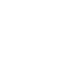 Partnership icon

