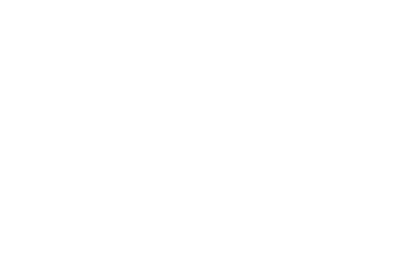 Wiz