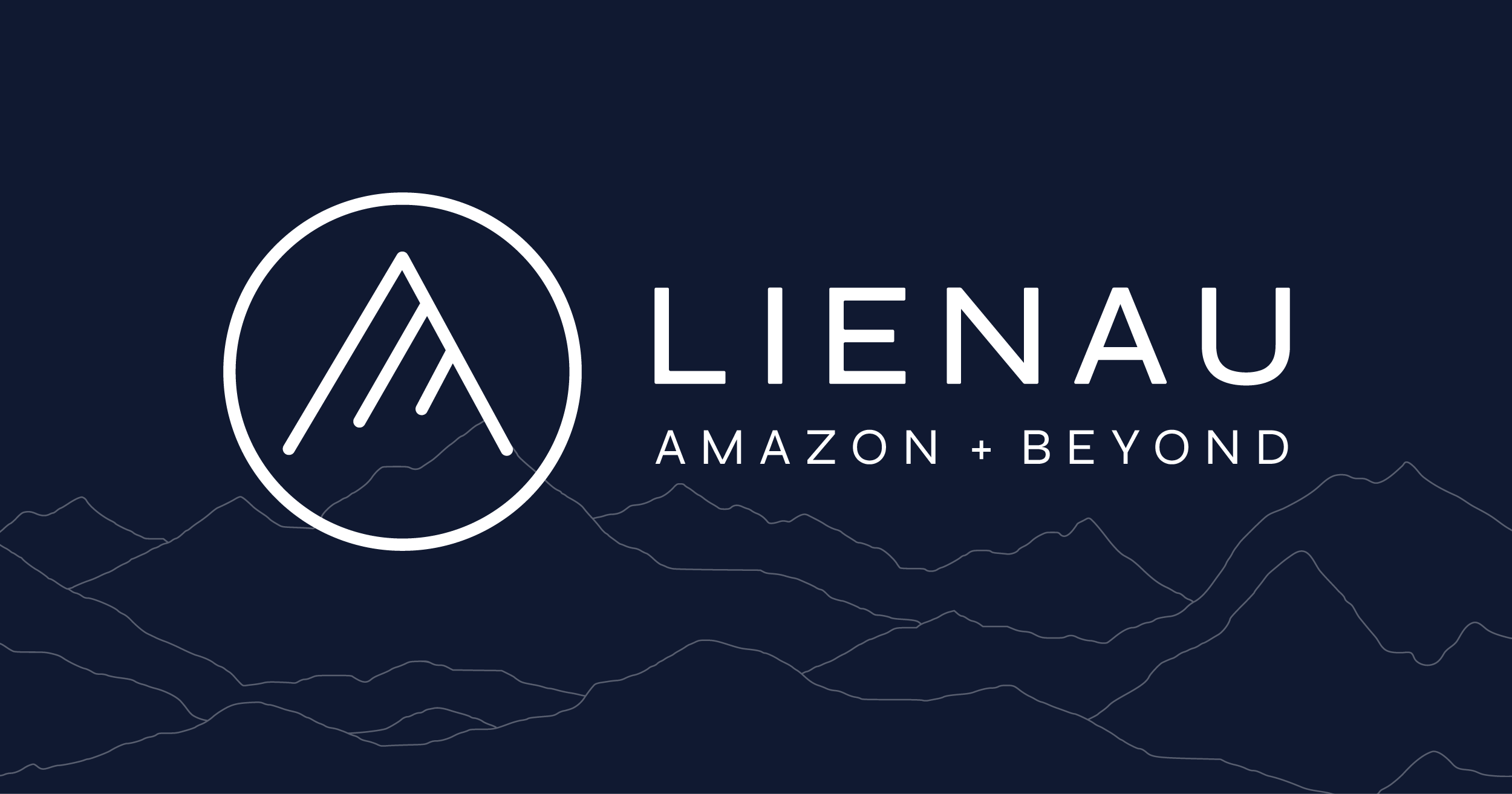Amazon Retail Growth Experts | Lienau