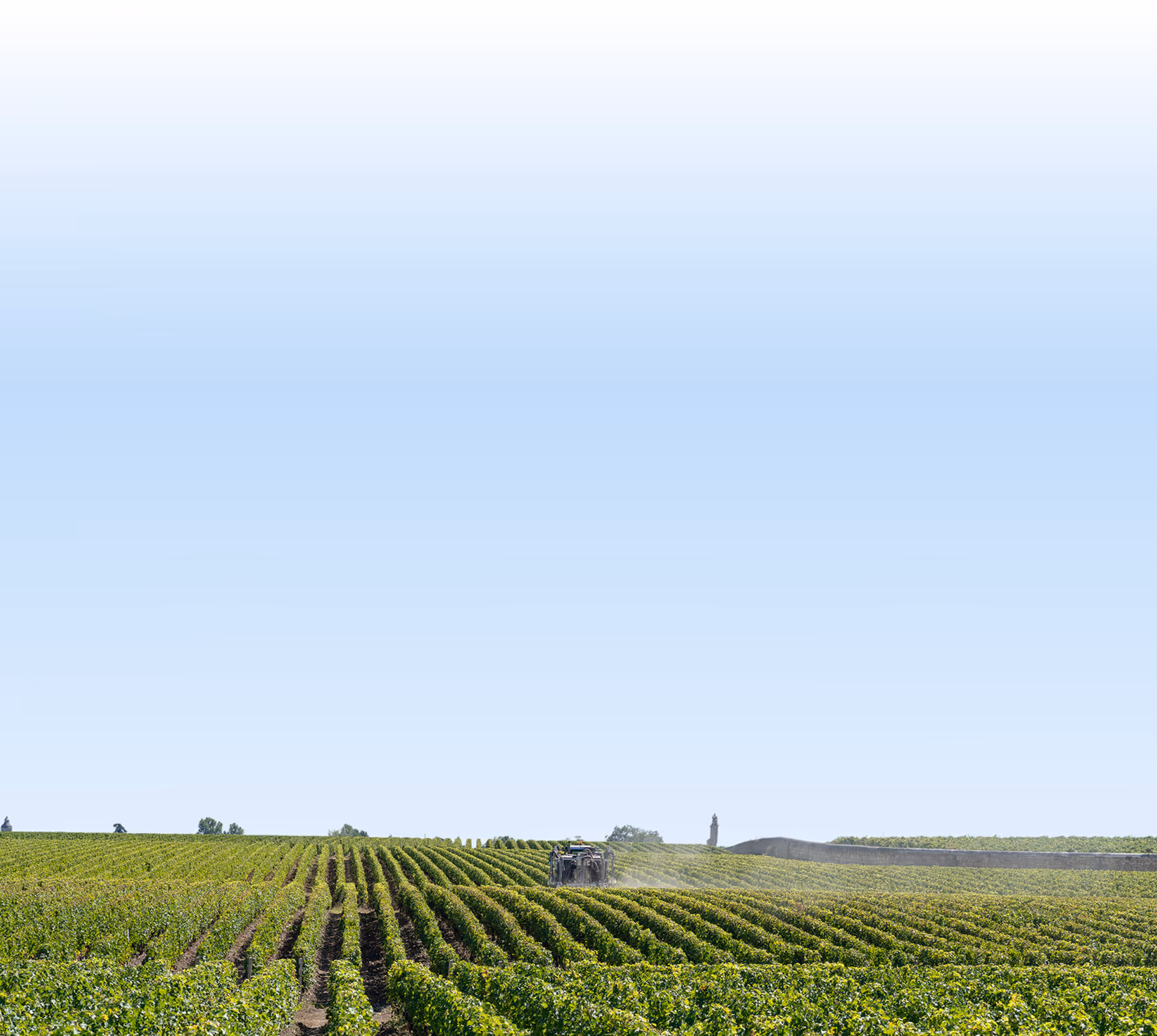 phospholutions cta corn
