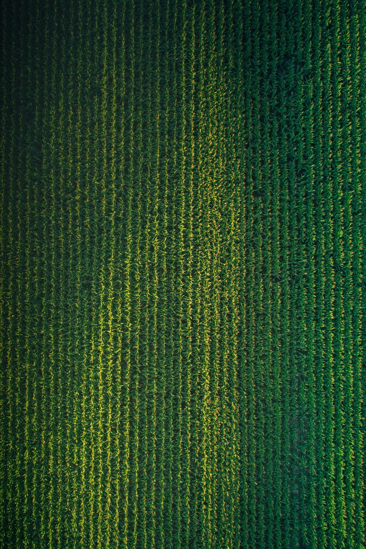 phospholutions sustainability header