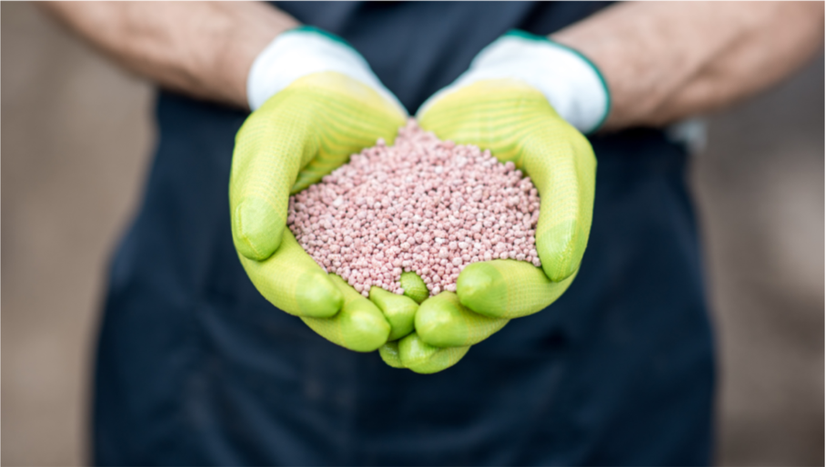 When to Apply Phosphorus Fertilizer A Comprehensive Guide