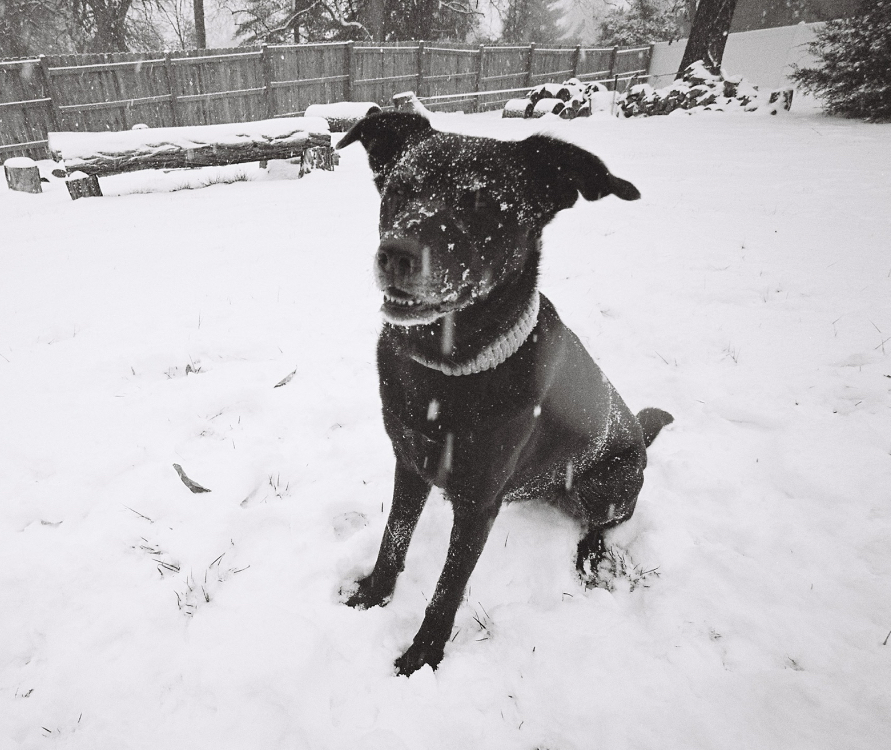 Co-Owner Luna