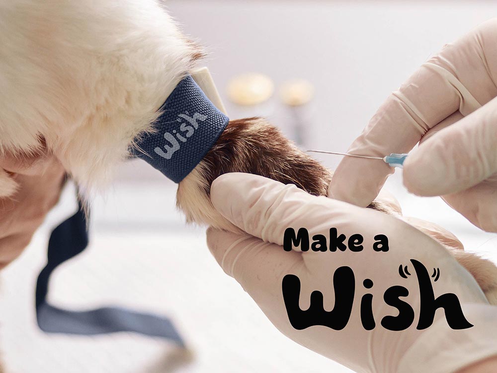 毛孩診所 Wish｜CIS 品牌識別系統設計