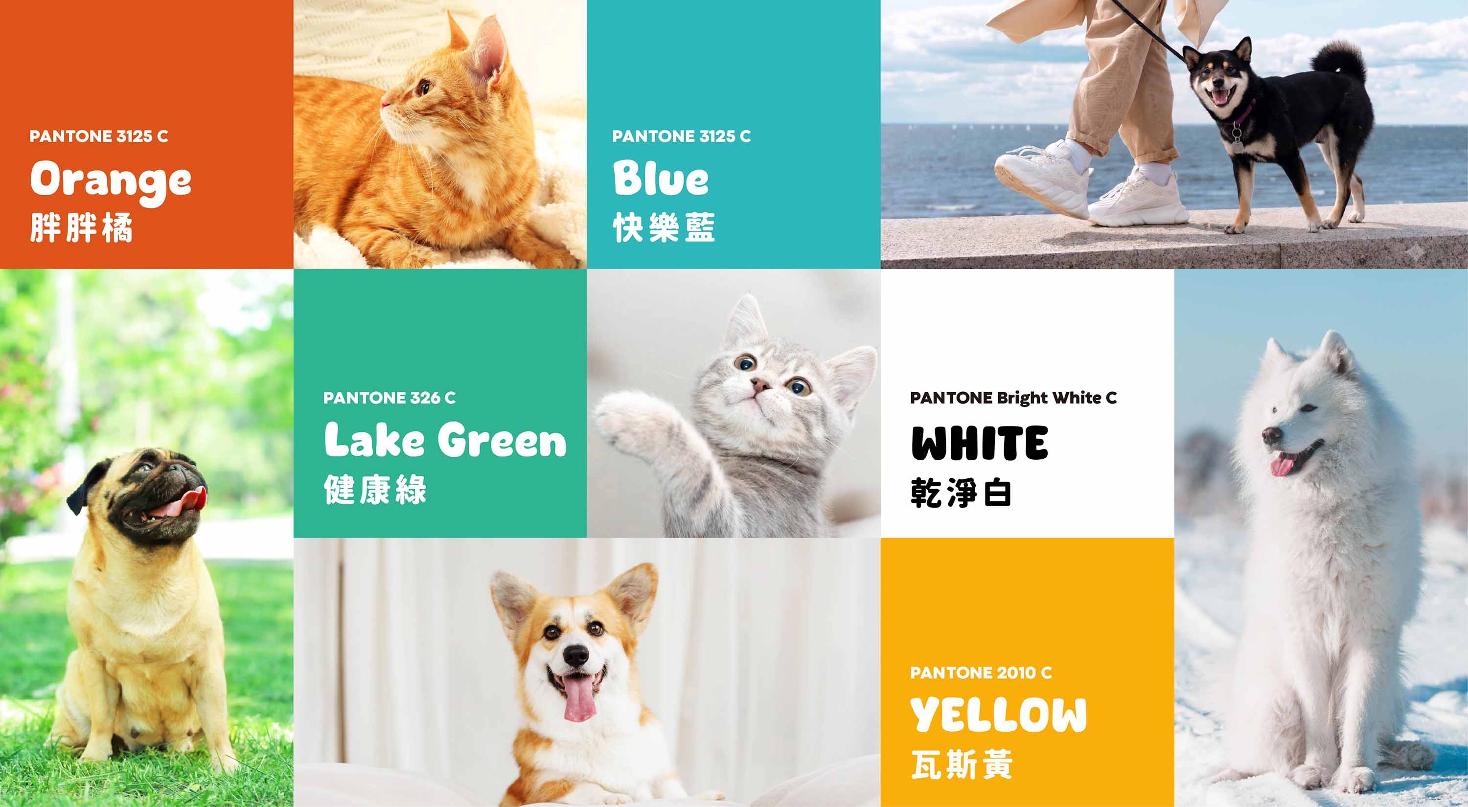 Wish 寵物品牌 CIS 視覺色彩
