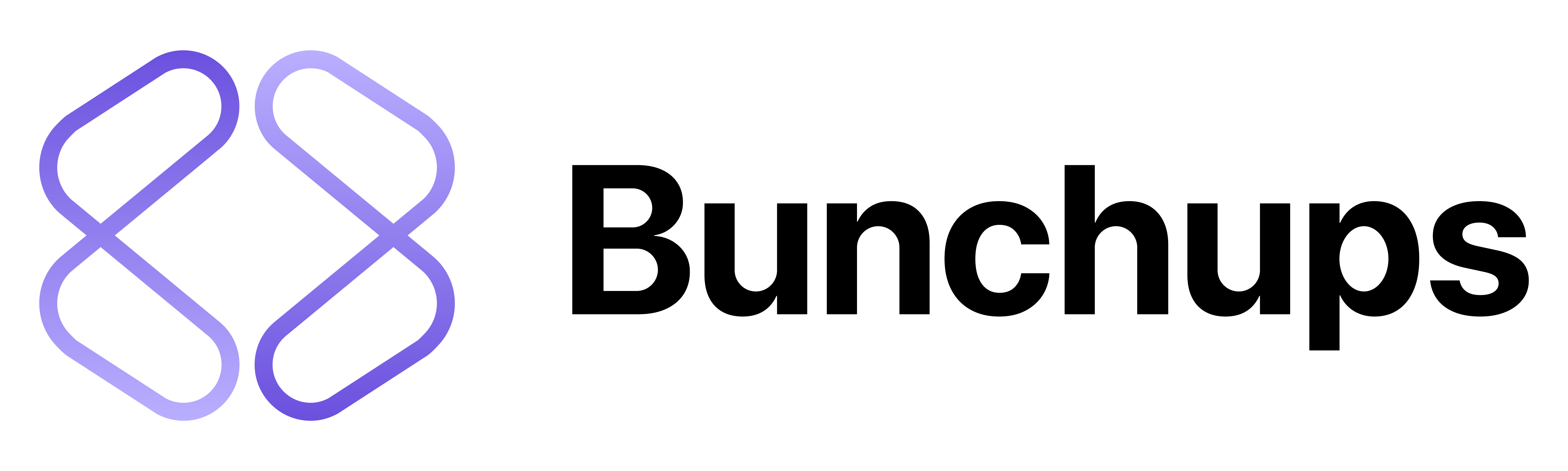 Bunchups main logo