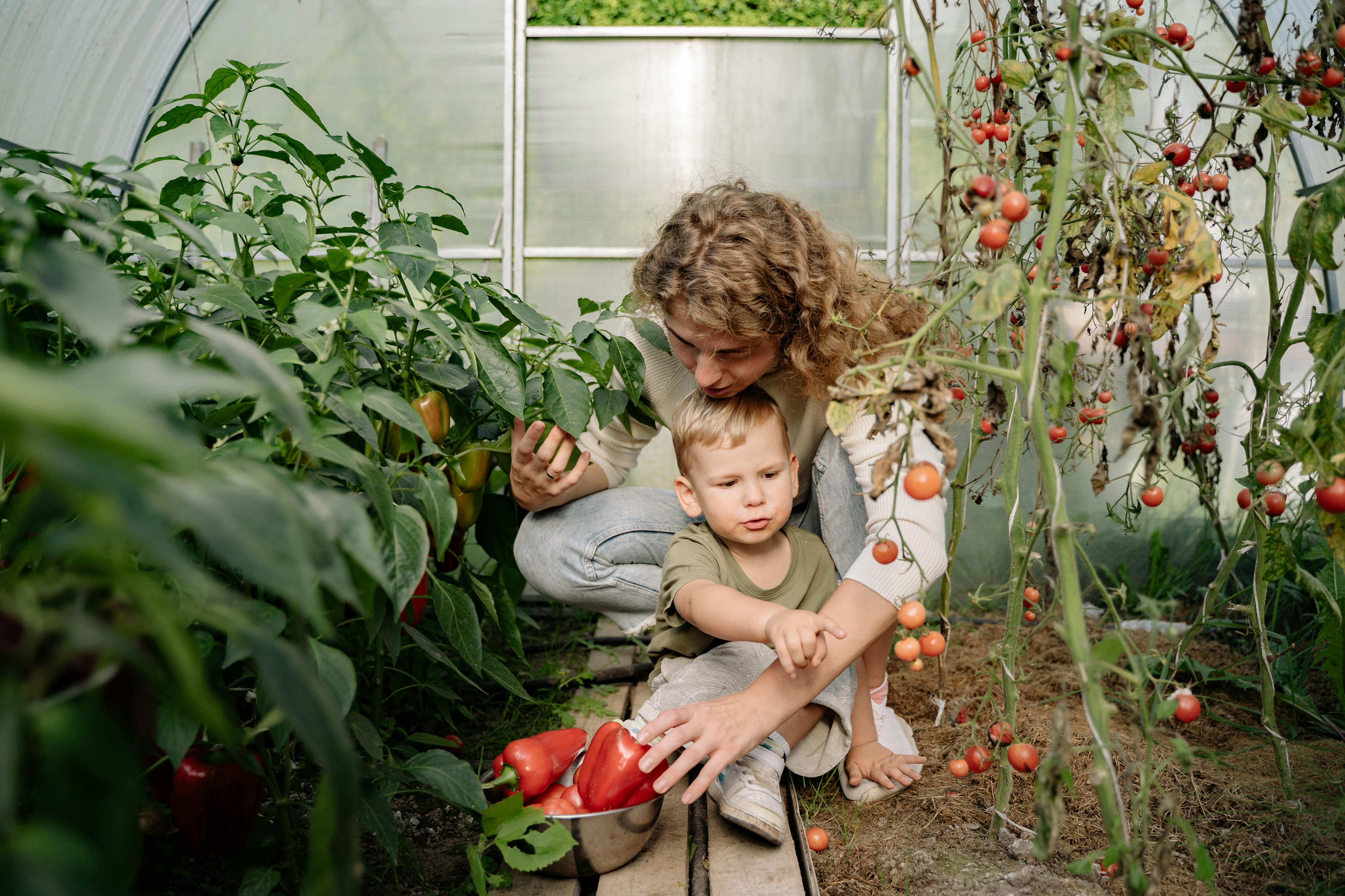 A woman and young child harvest bell peppers inside a greenhouse, illustrating a hands-on, family-focused approach to modern homesteading and community-driven food production.