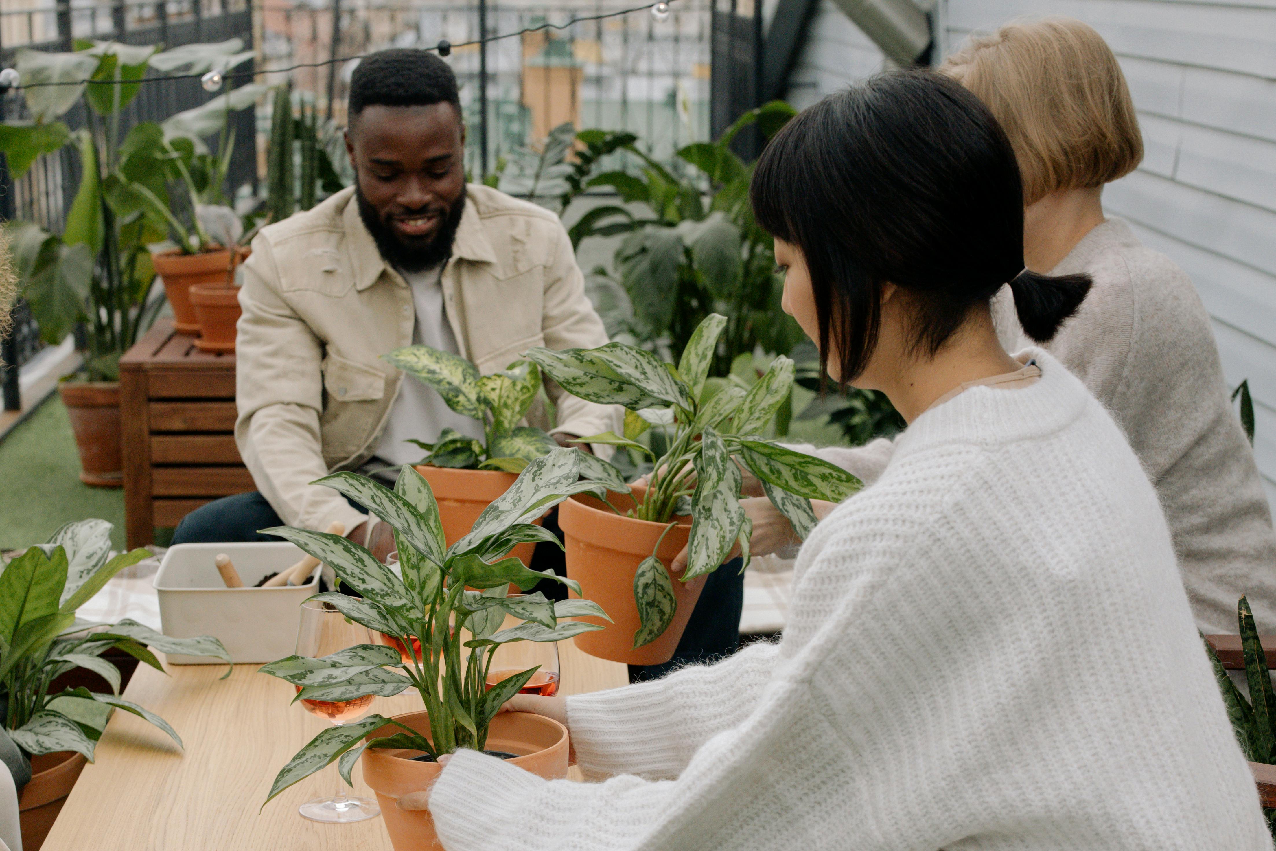 A diverse group of people gathered around a table, planting potted plants together in a shared outdoor space—representing collaboration and connection in community gardening.