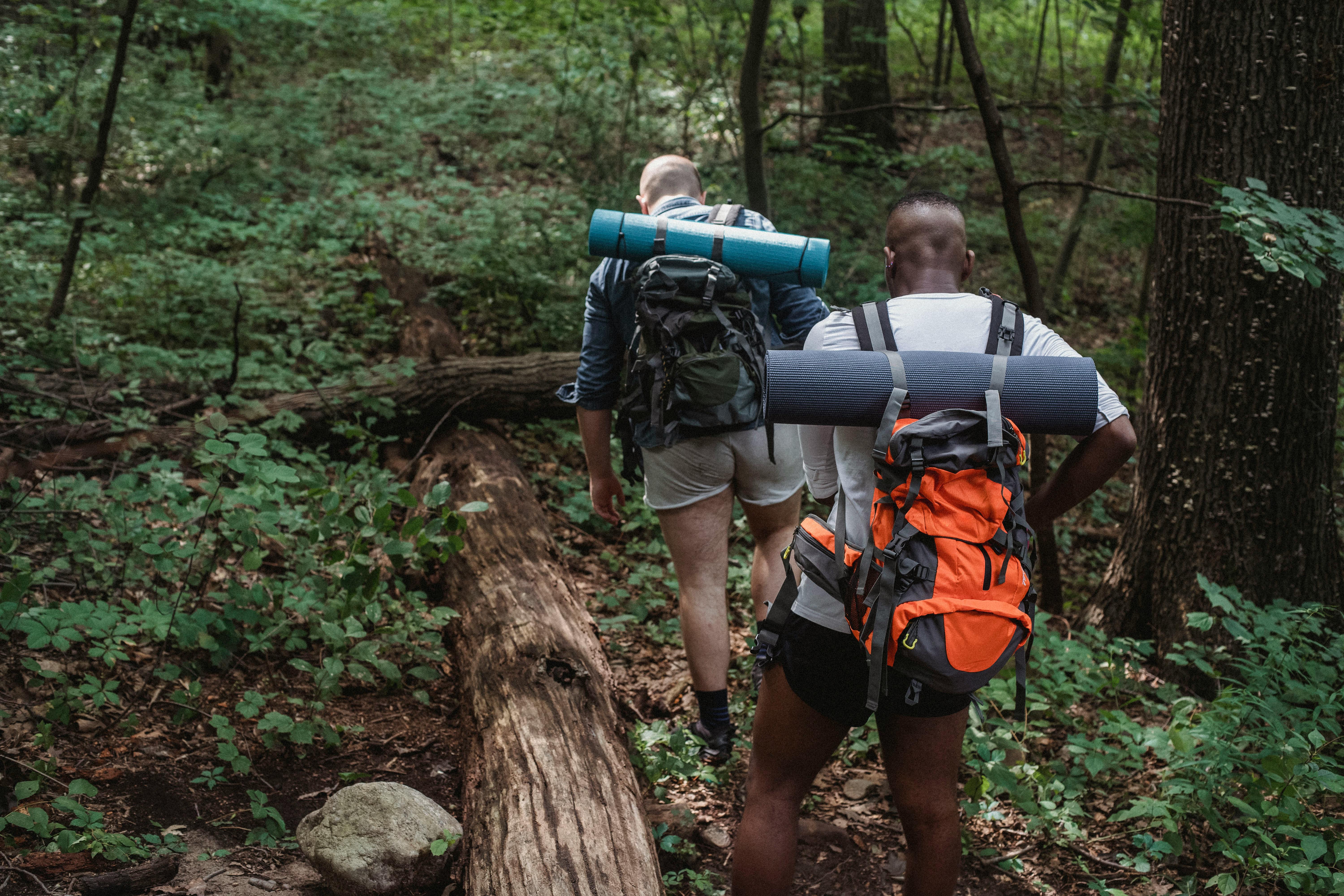 Two trekkers walking through a forest with backpacks and sleeping mats, representing how finding a compatible, safety-conscious trekking buddy in Australia can make day hikes and multi-day trails feel more enjoyable, supported, and less intimidating.