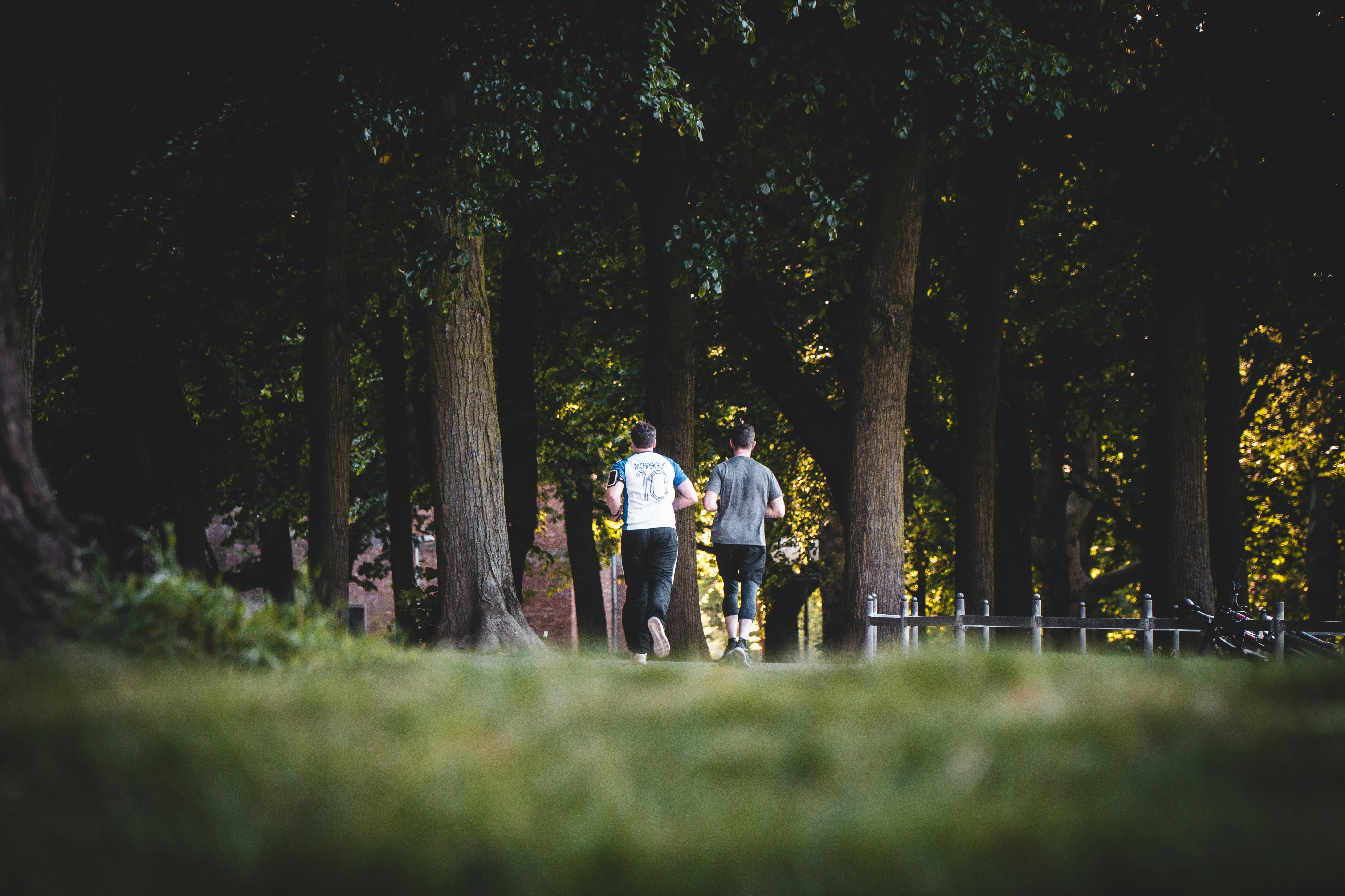 Two persons running in the park showcasing their connection and growing new friendship in friendship