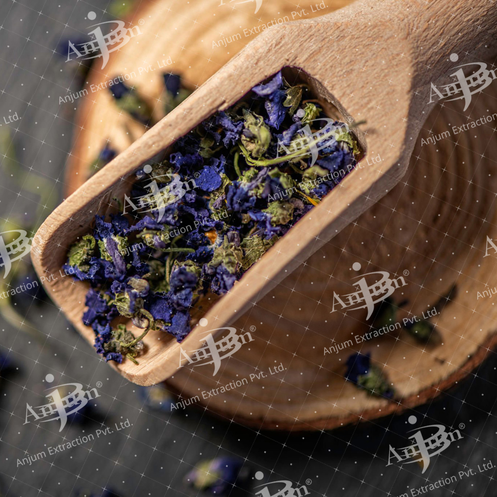 Banafsha (Viola odorata)