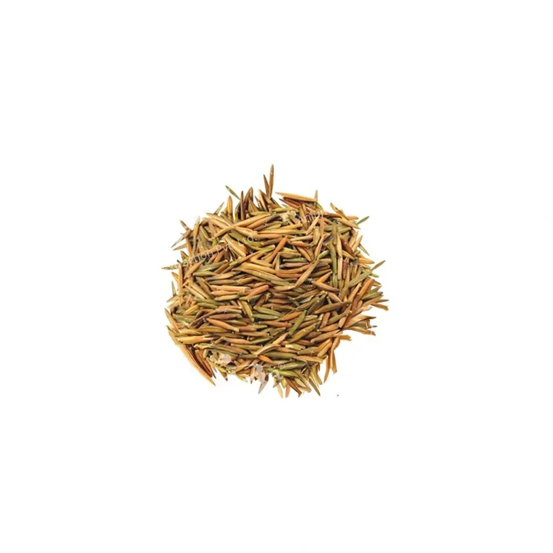 Indrajau (Wrightia tinctoria)
