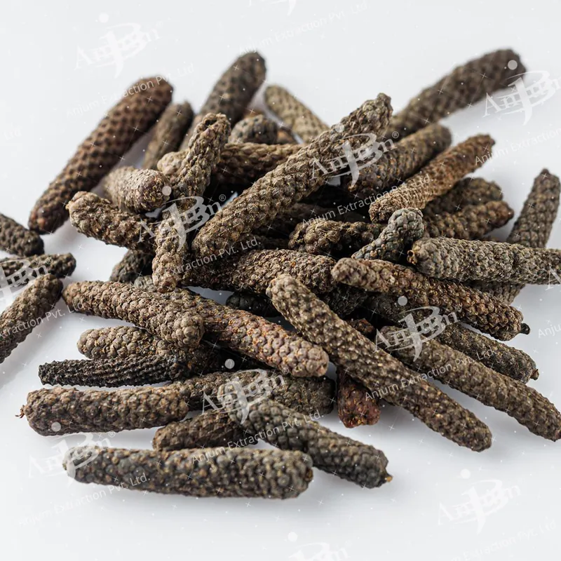 Pippali (Piper longum)