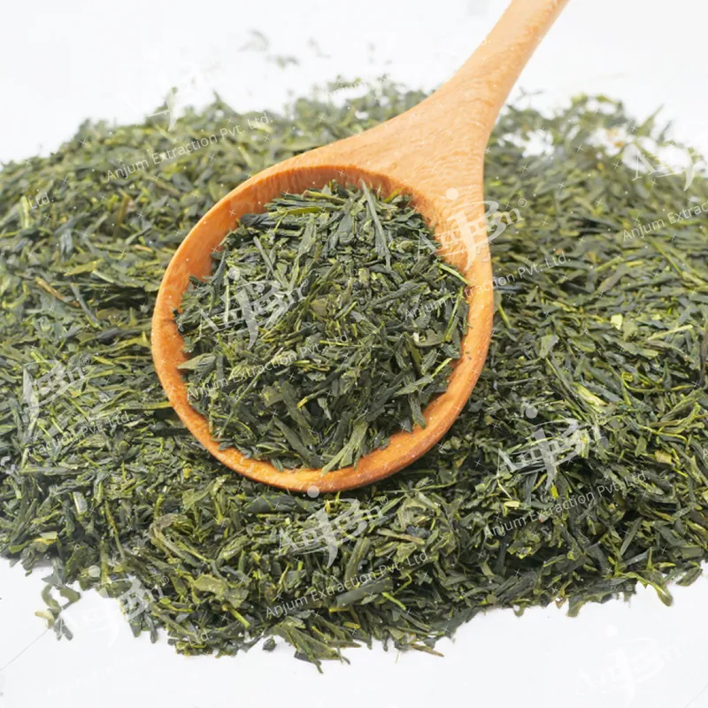 Green Tea (Camellia sinensis)