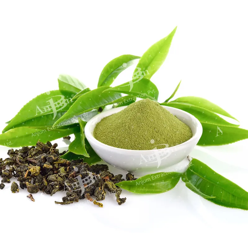 Green Tea (Camellia sinensis)