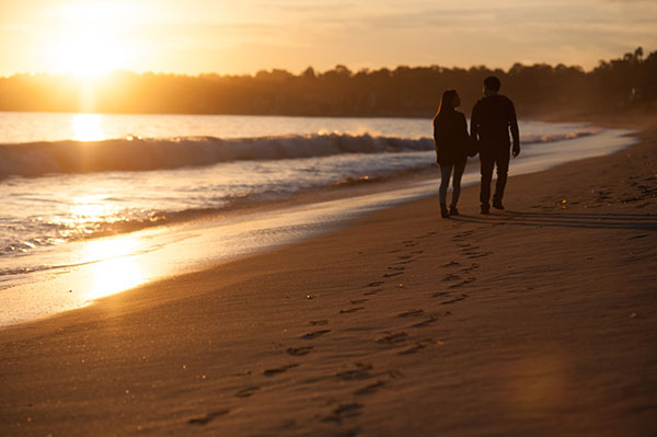 An Encounter with a Unicorn