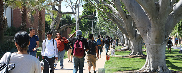 “Asians Only” Not Allowed