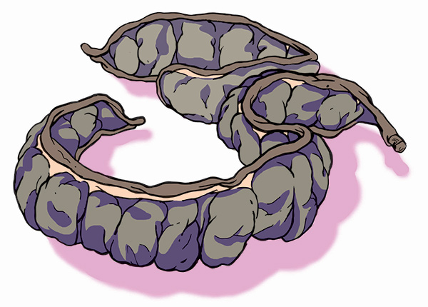 Behind the Face of Paradise