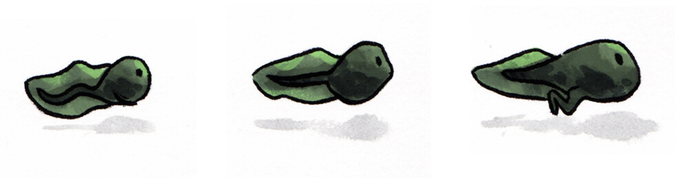 Changing From Intangible to Tangible