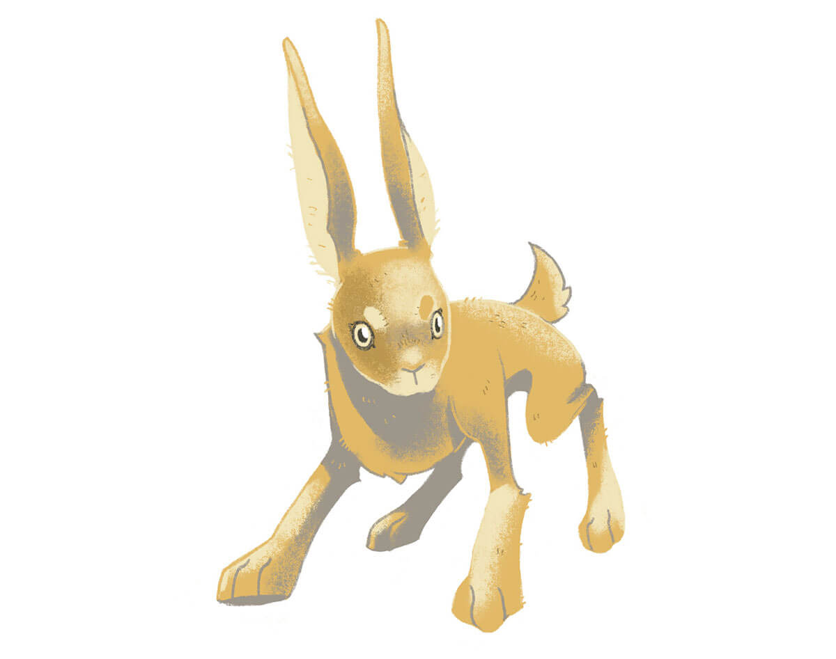 Cowboys, Lawyers, and Therapists