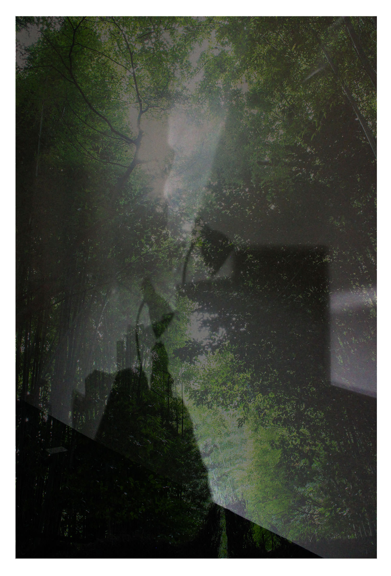 Feminism, Theology, and Academia