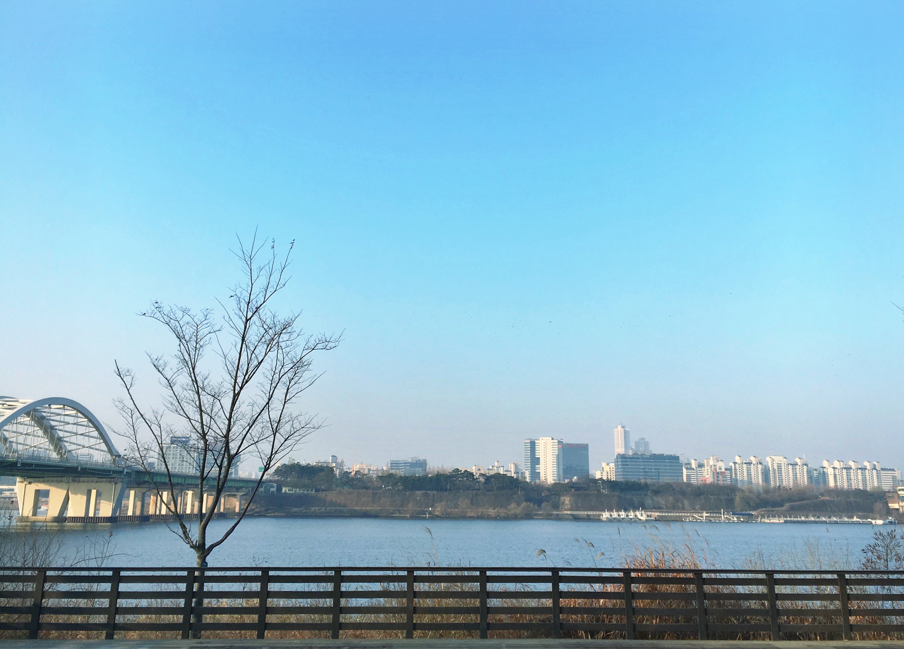 Finding Home in the Motherland