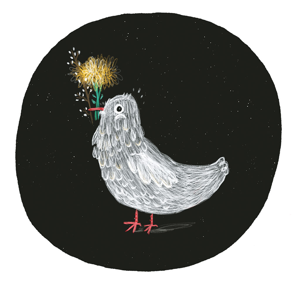 Girl Meets Boy Meets Race