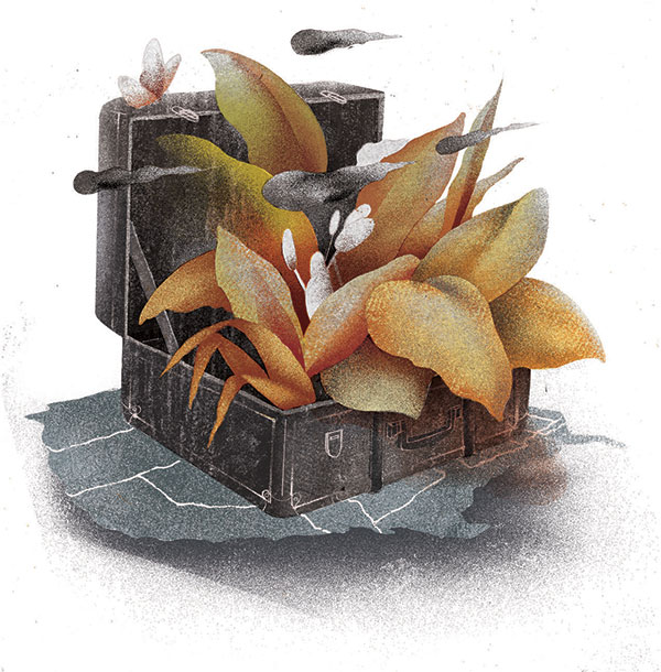 Interrupting History