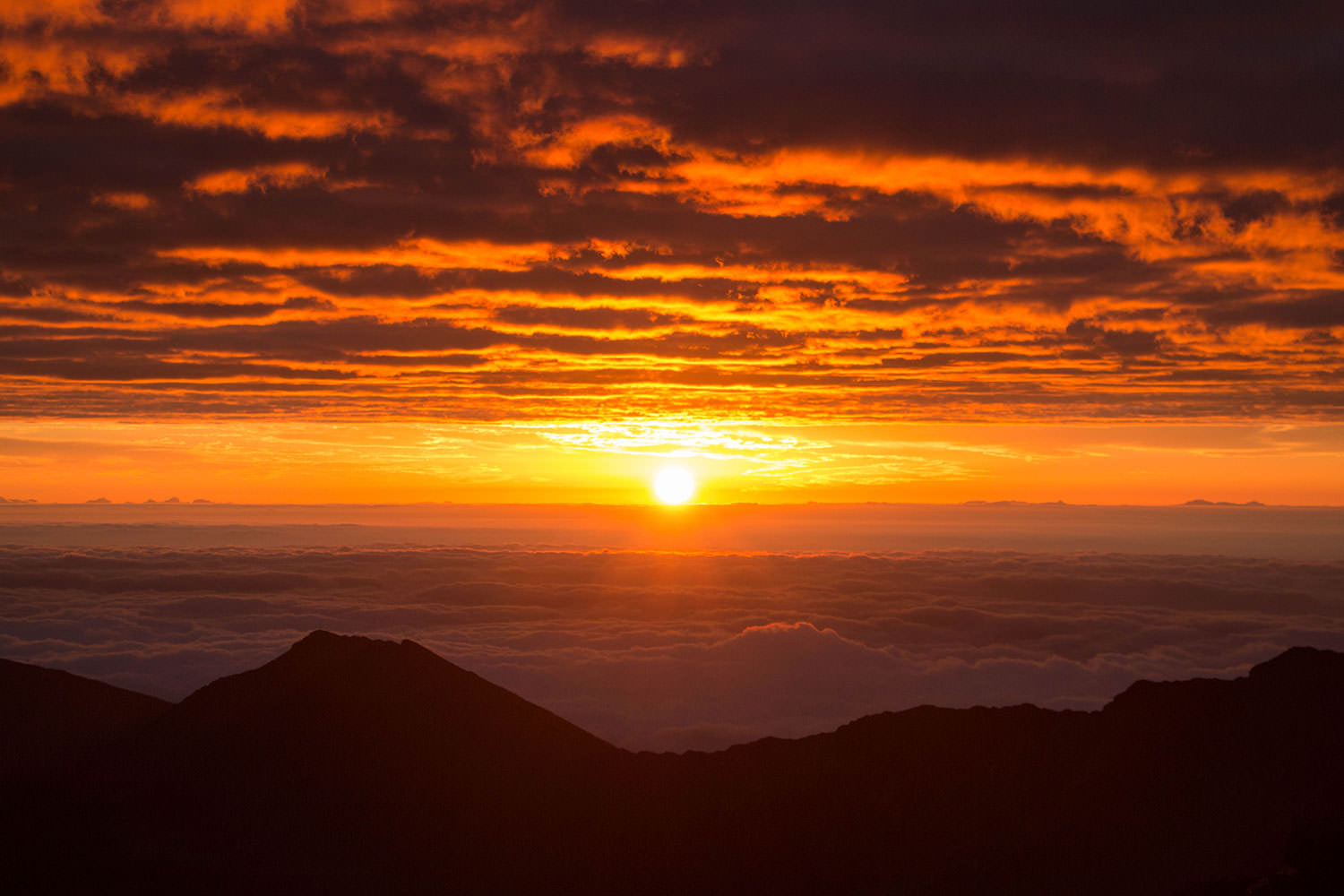 Non-Binary and Not for Your Judgement