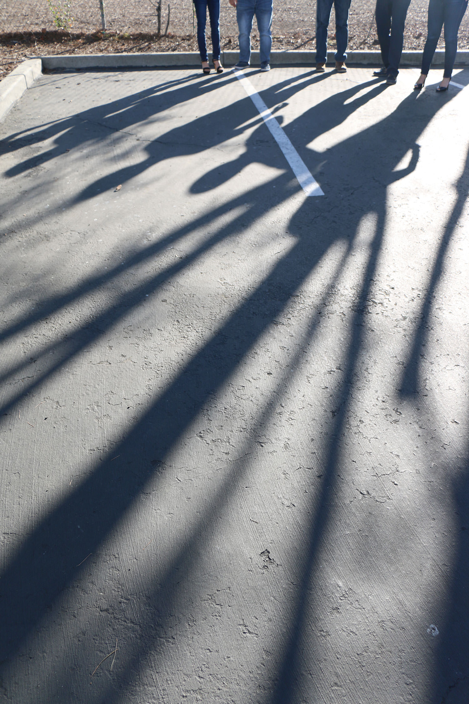 Oppression We Cannot Share